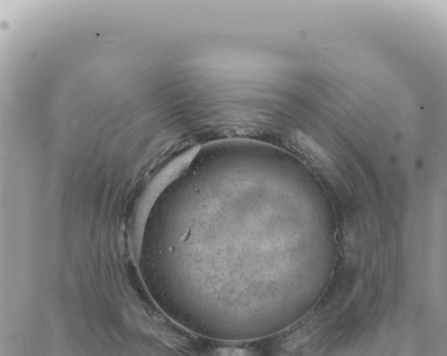 X0000088610169200706011236