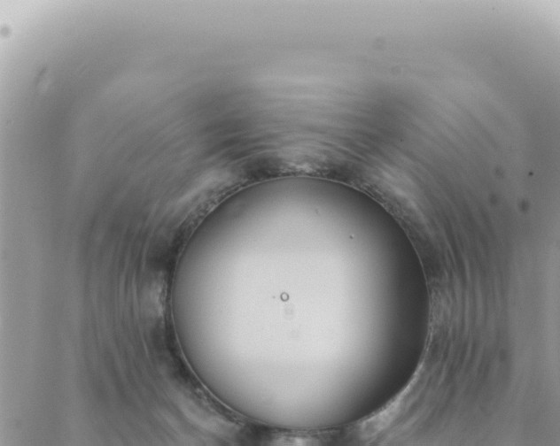 X0000088610174200706011236