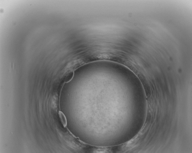 X0000088610175200706011236