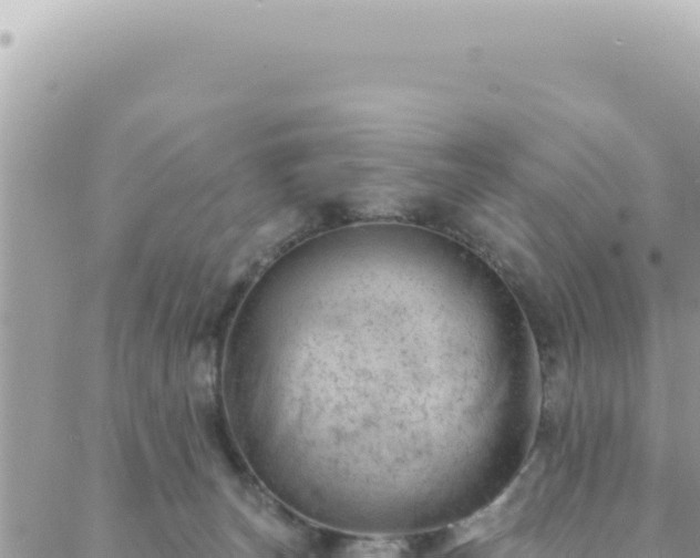 X0000088610179200706011236