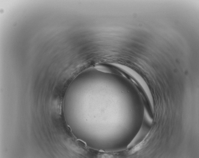 X0000088610180200706011236