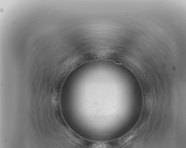 X0000088610181200706011237