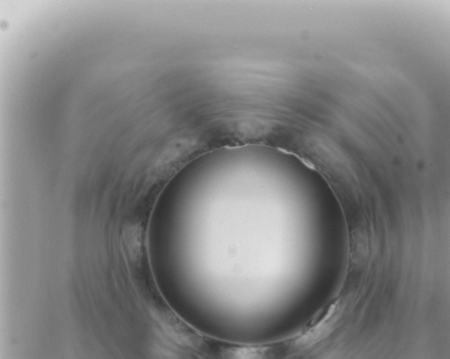 X0000088610184200706011237