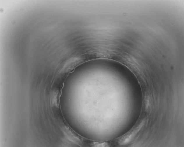 X0000088610185200706011237