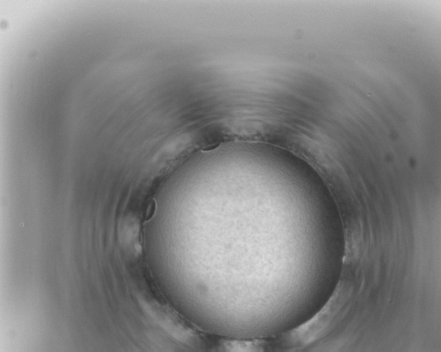 X0000088610187200706011237