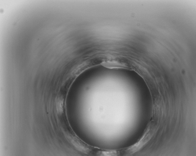 X0000088610188200706011237