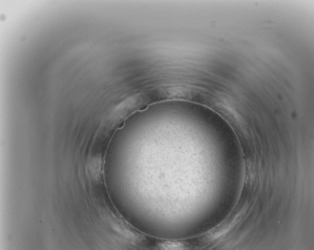 X0000088610189200706011237