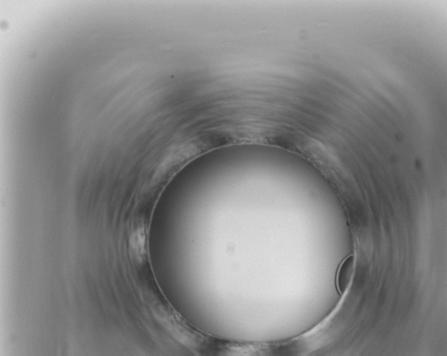 X0000088610190200706011237