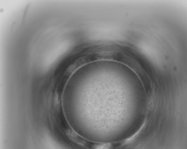 X0000088610191200706011237