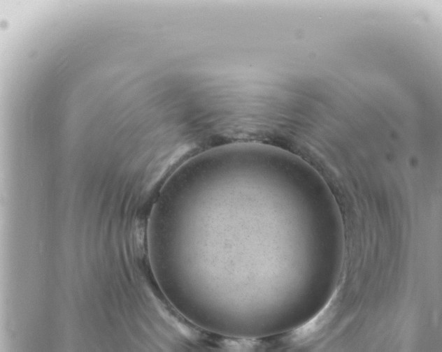 X0000088610192200706011237