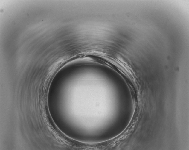 X0000088610193200706011236