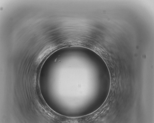 X0000088610194200706011236