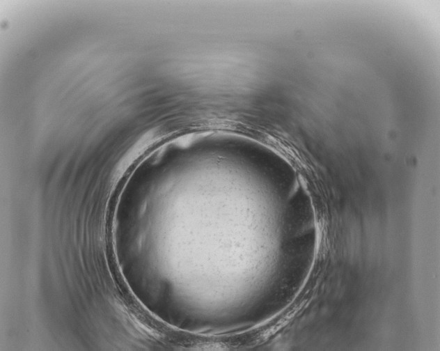 X0000088610195200706011236