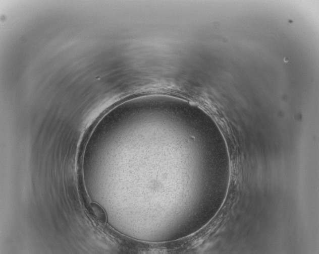 X0000088610196200706011236