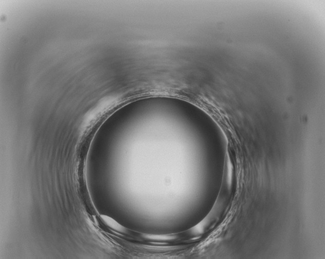 X0000088610197200706011236