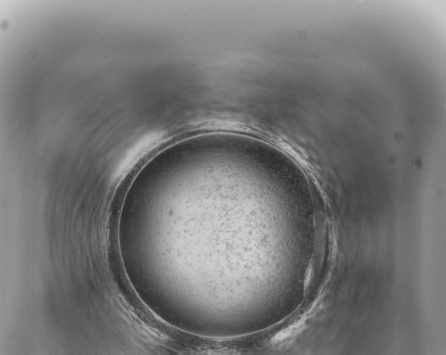 X0000088610199200706011236