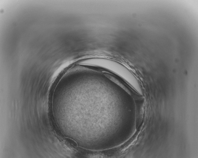 X0000088610200200706011236