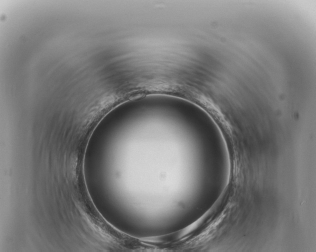 X0000088610201200706011236