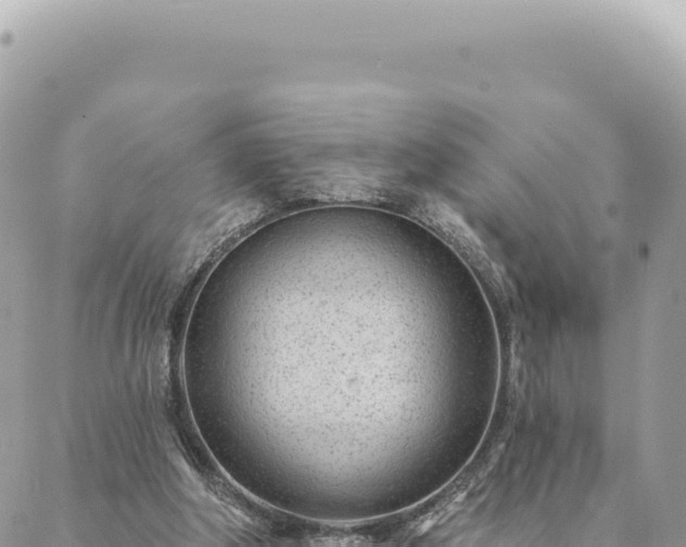 X0000088610202200706011236