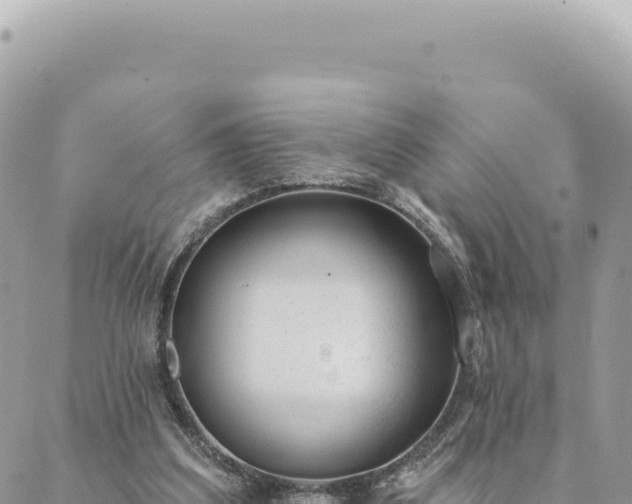 X0000088610203200706011236