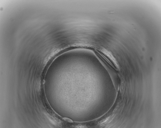 X0000088610204200706011236