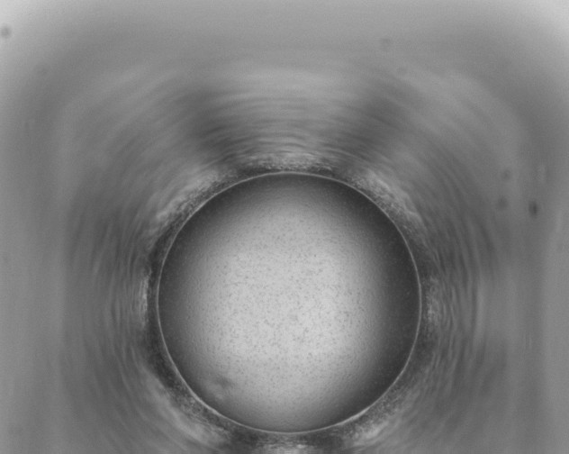 X0000088610206200706011236