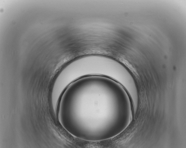 X0000088610207200706011236