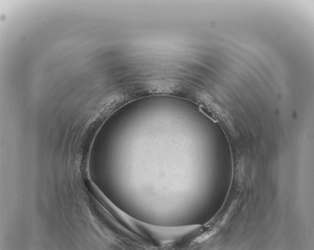 X0000088610209200706011236