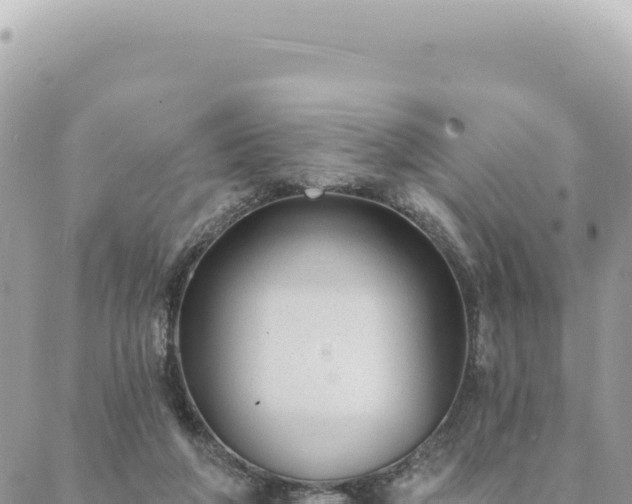 X0000088610210200706011236