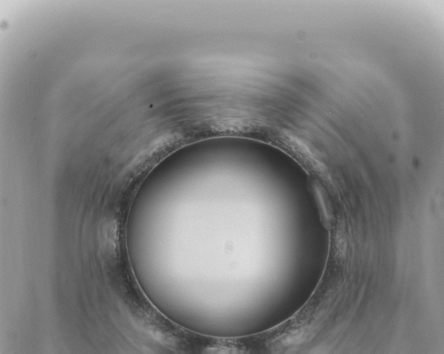 X0000088610211200706011236