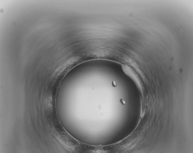 X0000088610212200706011236