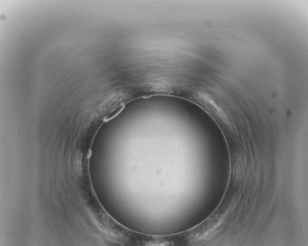 X0000088610213200706011236