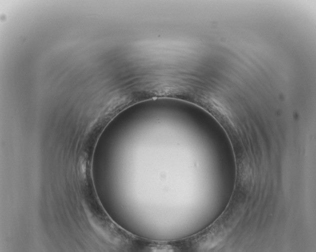 X0000088610214200706011236