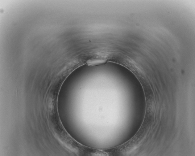 X0000088610215200706011236