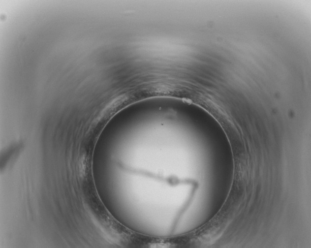 X0000088610216200706011236