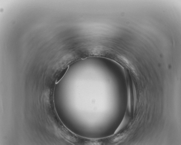 X0000088610217200706011236