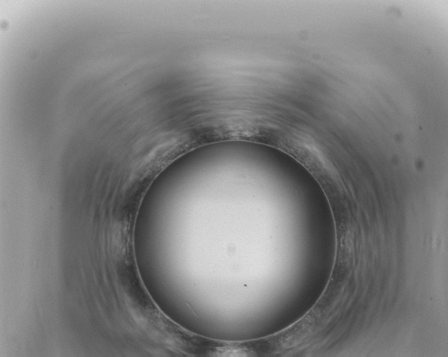 X0000088610218200706011236