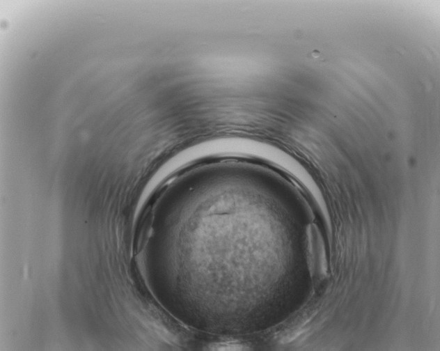 X0000088610219200706011235