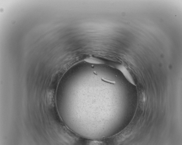 X0000088610222200706011235