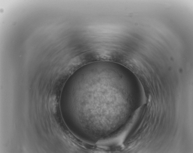 X0000088610223200706011235