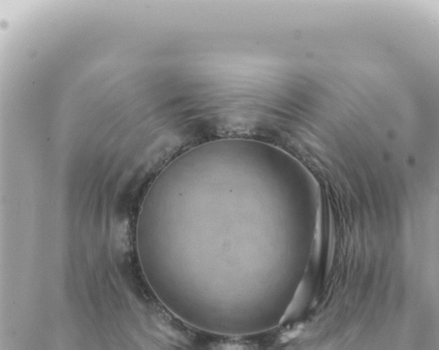 X0000088610224200706011235