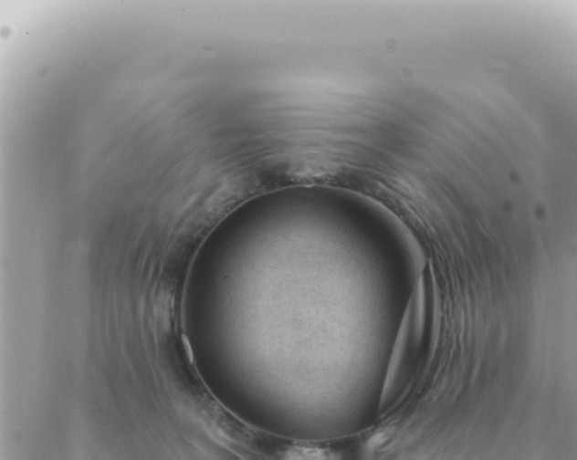 X0000088610227200706011235