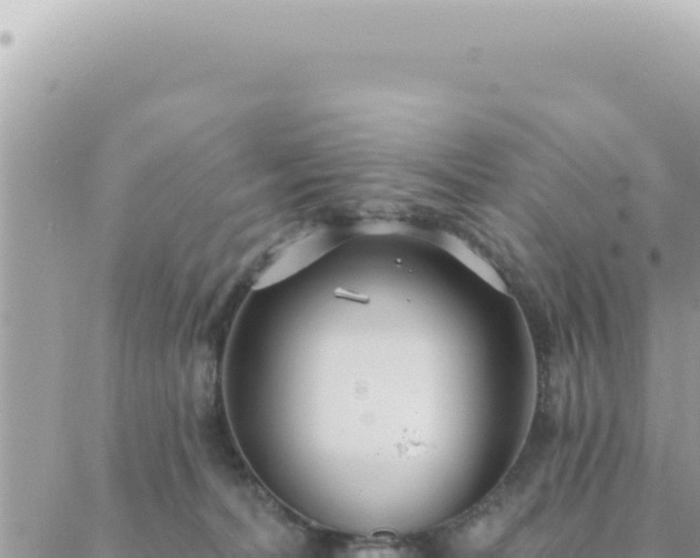 X0000088610228200706011235