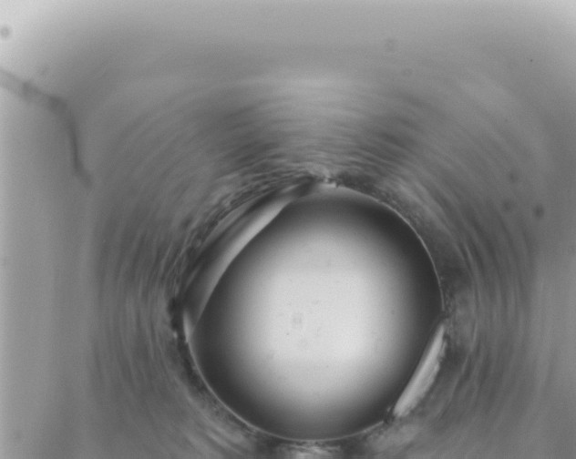 X0000088610229200706011235