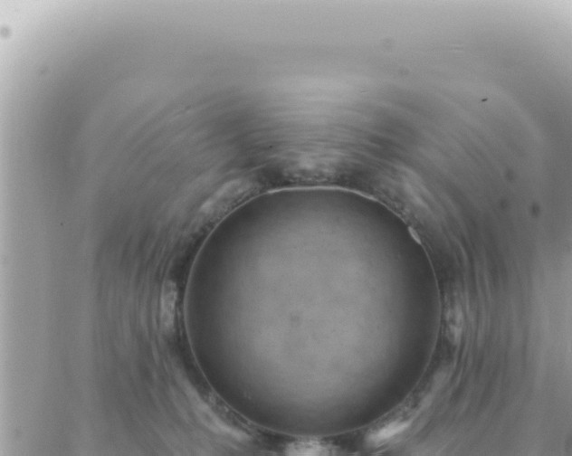 X0000088610231200706011235