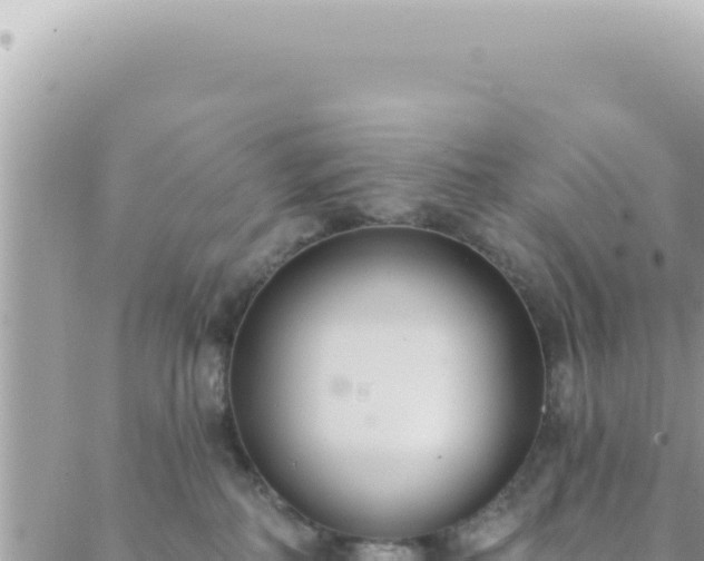 X0000088610234200706011235