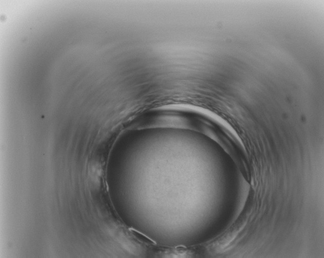 X0000088610235200706011235