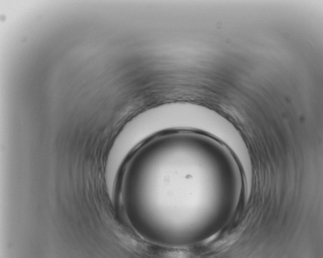 X0000088610237200706011235