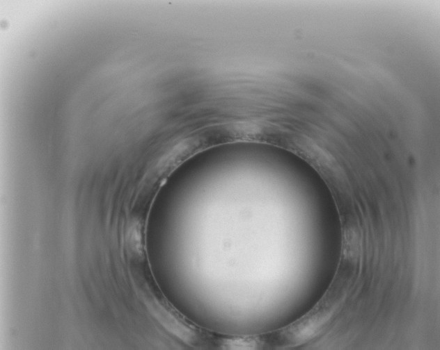 X0000088610238200706011235