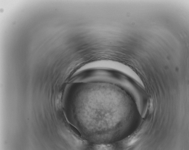 X0000088610239200706011235